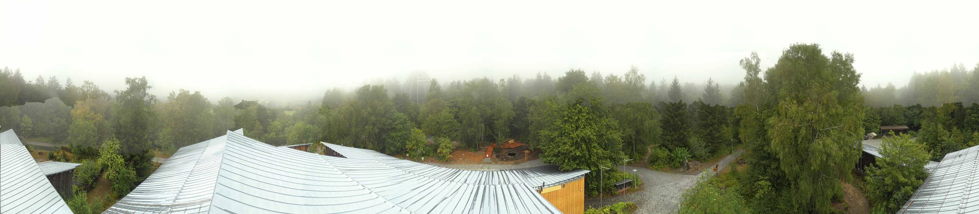 Archiv Foto Webcam Neuschönau - Baumwipfelpfad Bayerischer Wald