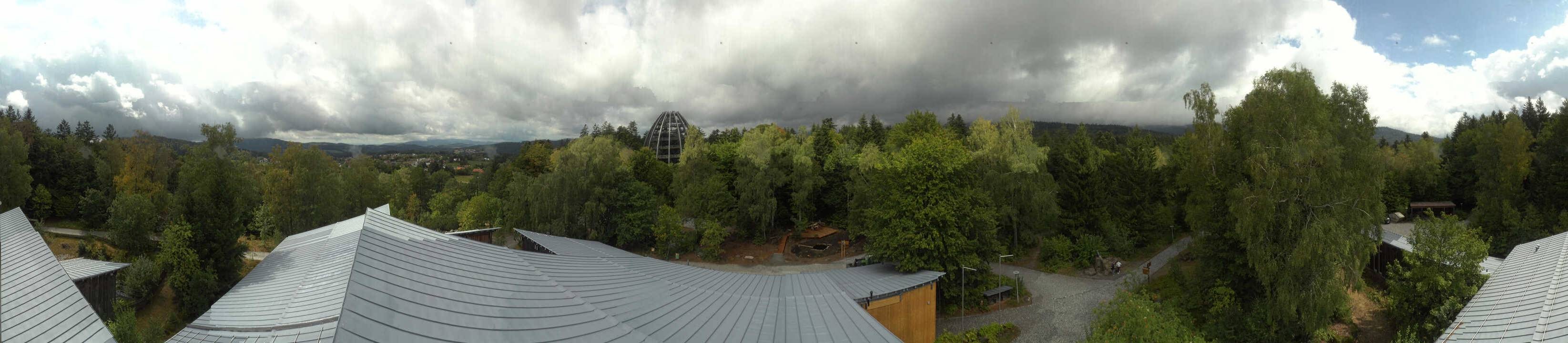 Archiv Foto Webcam Neuschönau - Baumwipfelpfad Bayerischer Wald