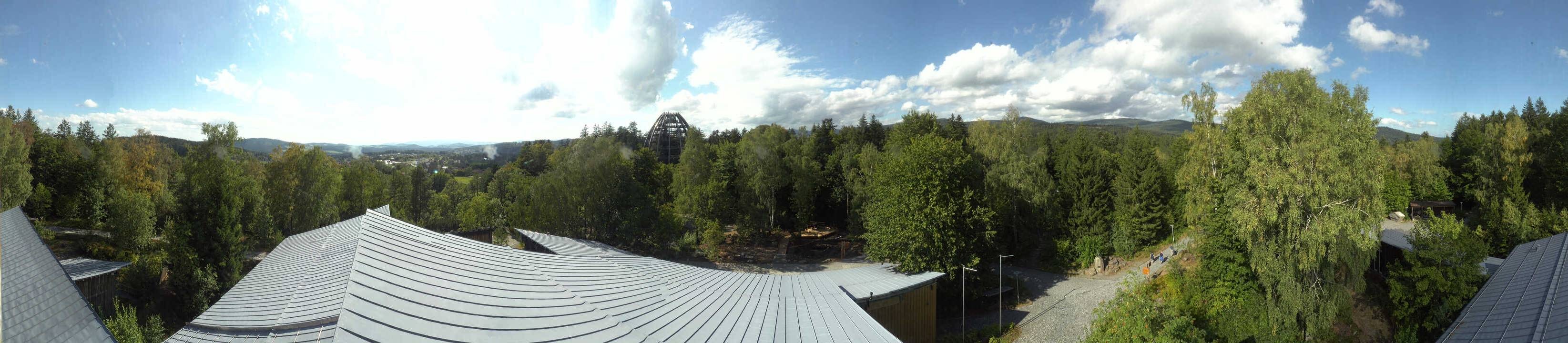 Archiv Foto Webcam Neuschönau - Baumwipfelpfad Bayerischer Wald