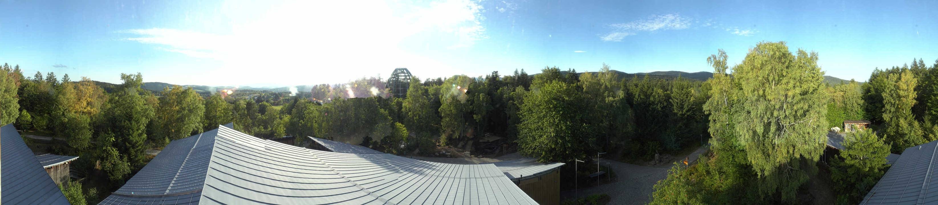 Archiv Foto Webcam Neuschönau - Baumwipfelpfad Bayerischer Wald