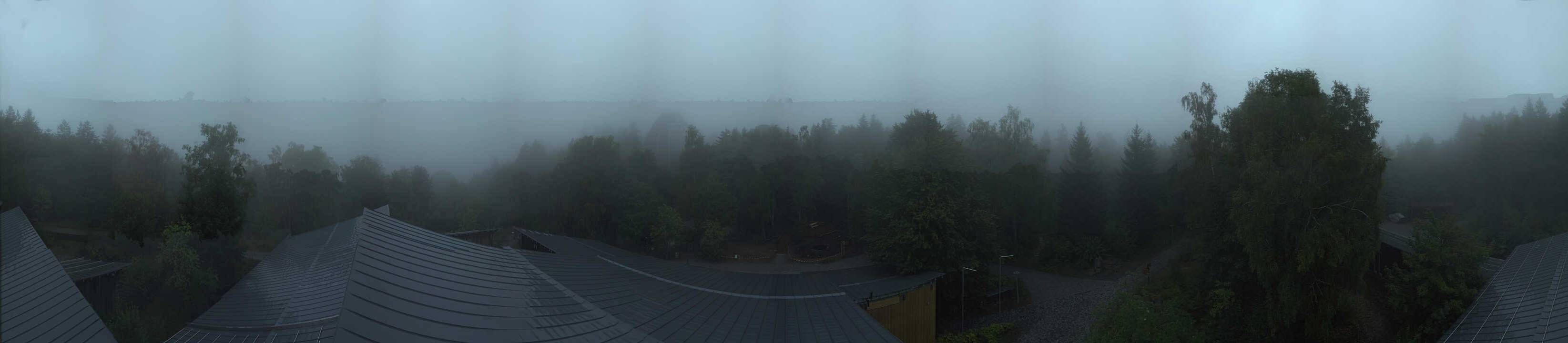 Archived image Webcam Neuschönau - Tree Top Walk Bavarian Forest