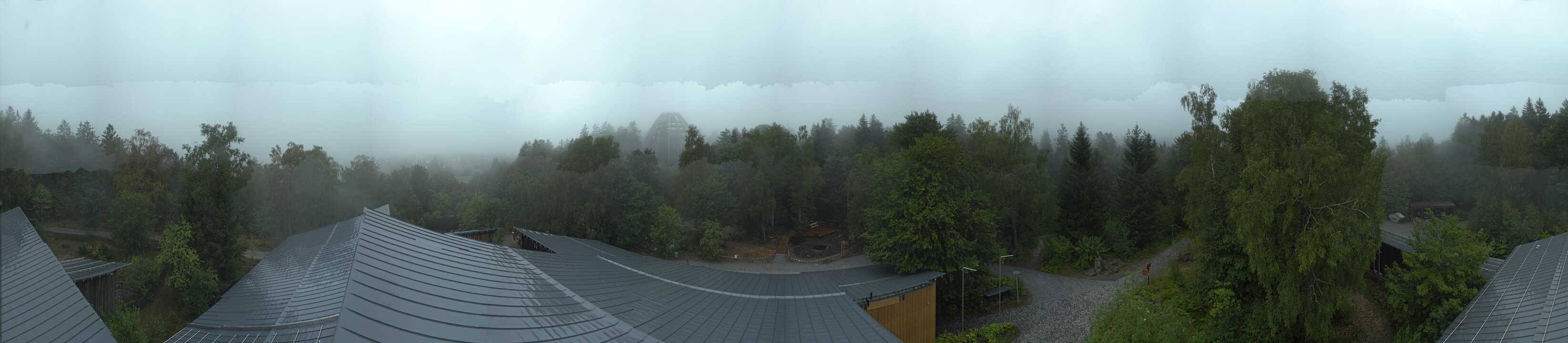 Archived image Webcam Neuschönau - Tree Top Walk Bavarian Forest