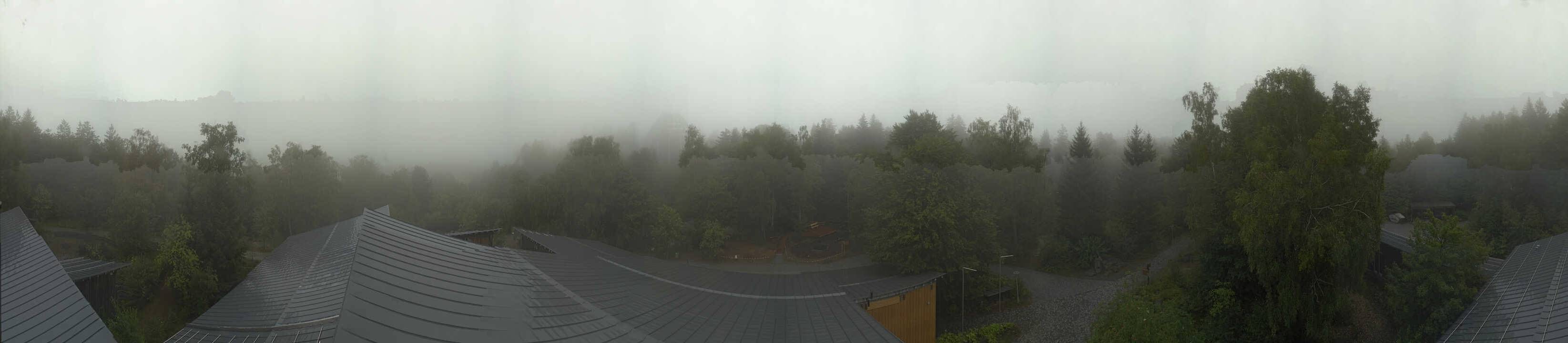 Archived image Webcam Neuschönau - Tree Top Walk Bavarian Forest