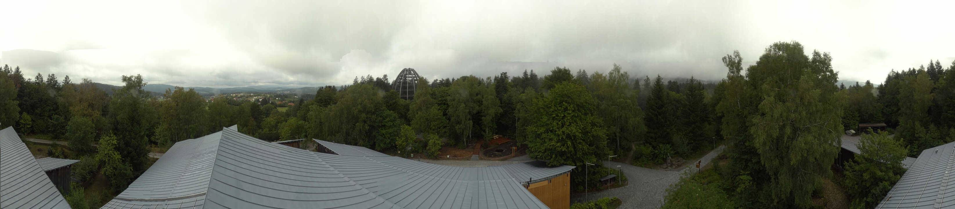 Archived image Webcam Neuschönau - Tree Top Walk Bavarian Forest