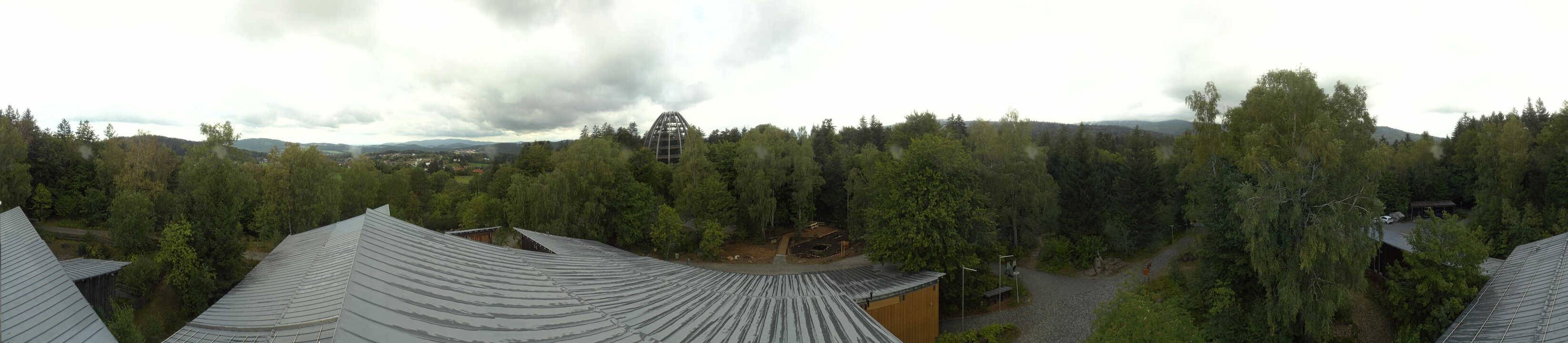 Archived image Webcam Neuschönau - Tree Top Walk Bavarian Forest