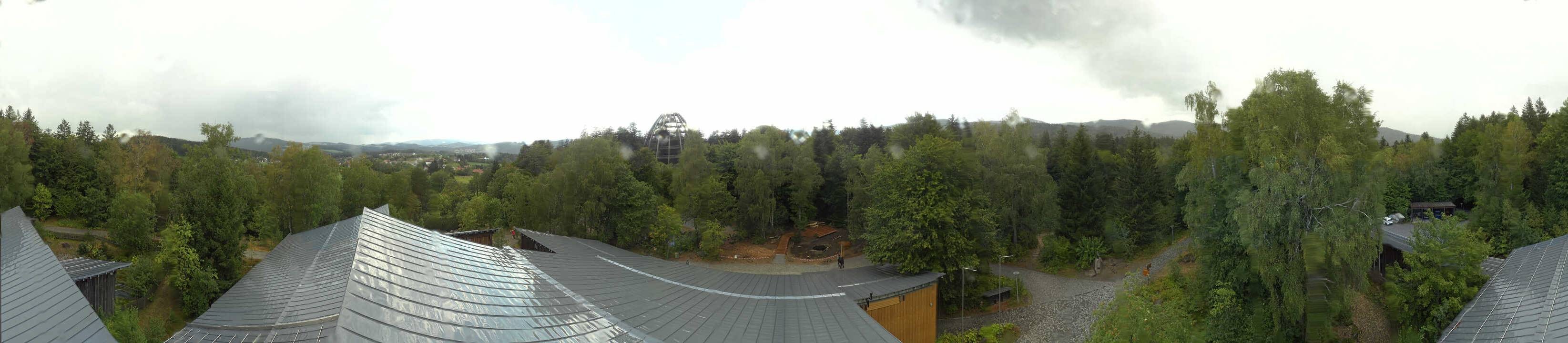 Archived image Webcam Neuschönau - Tree Top Walk Bavarian Forest