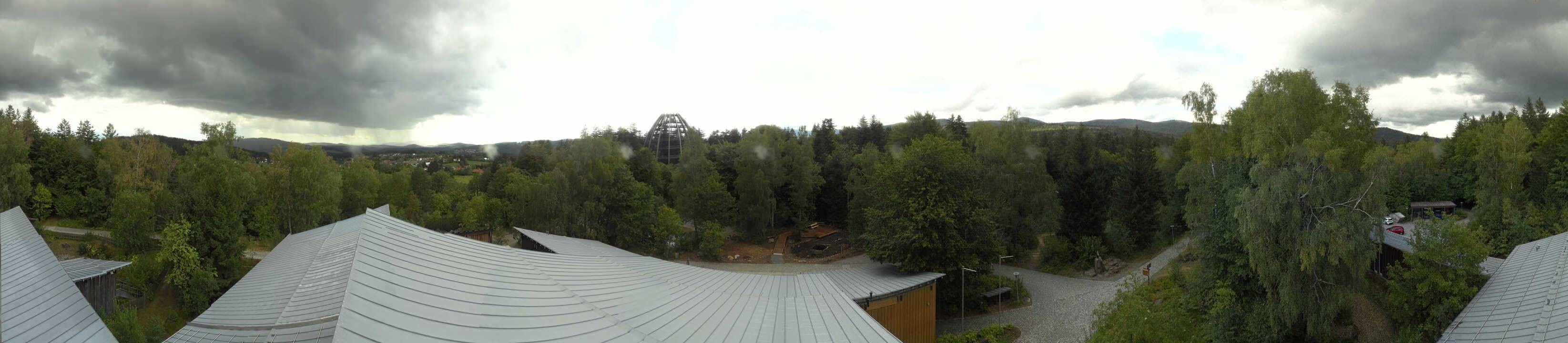 Archived image Webcam Neuschönau - Tree Top Walk Bavarian Forest