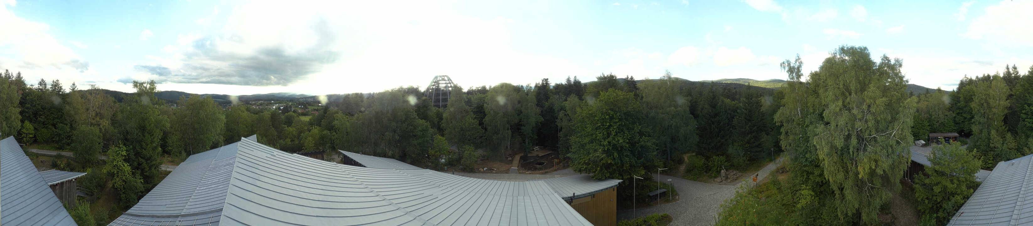 Archived image Webcam Neuschönau - Tree Top Walk Bavarian Forest