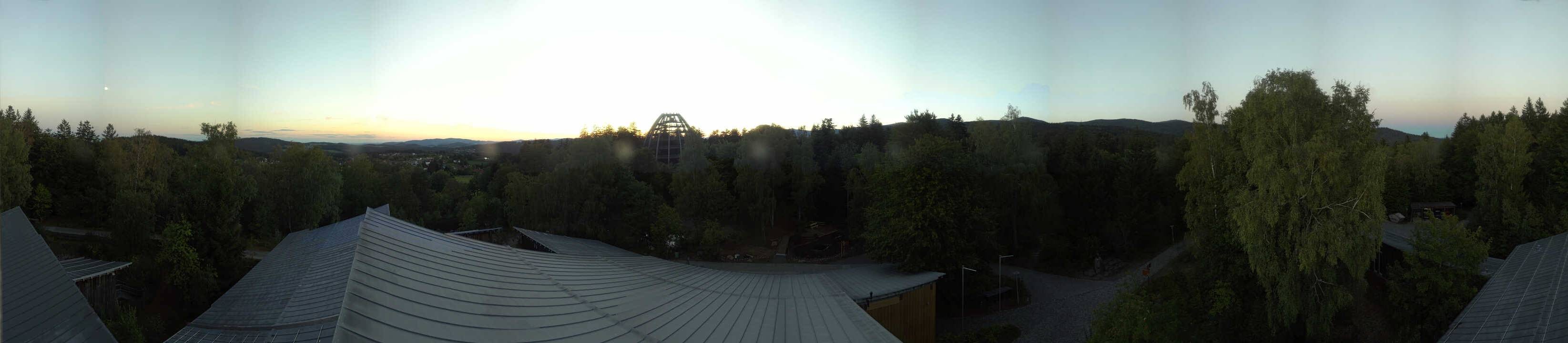 Archived image Webcam Neuschönau - Tree Top Walk Bavarian Forest