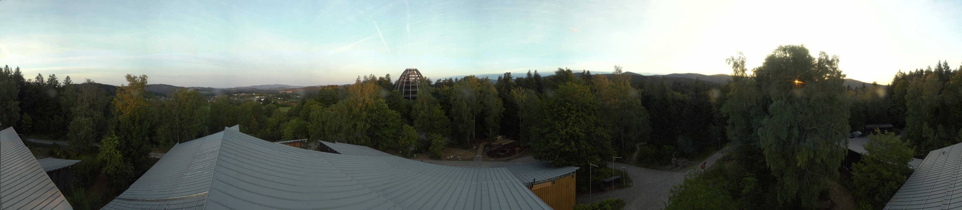 Archiv Foto Webcam Neuschönau - Baumwipfelpfad Bayerischer Wald