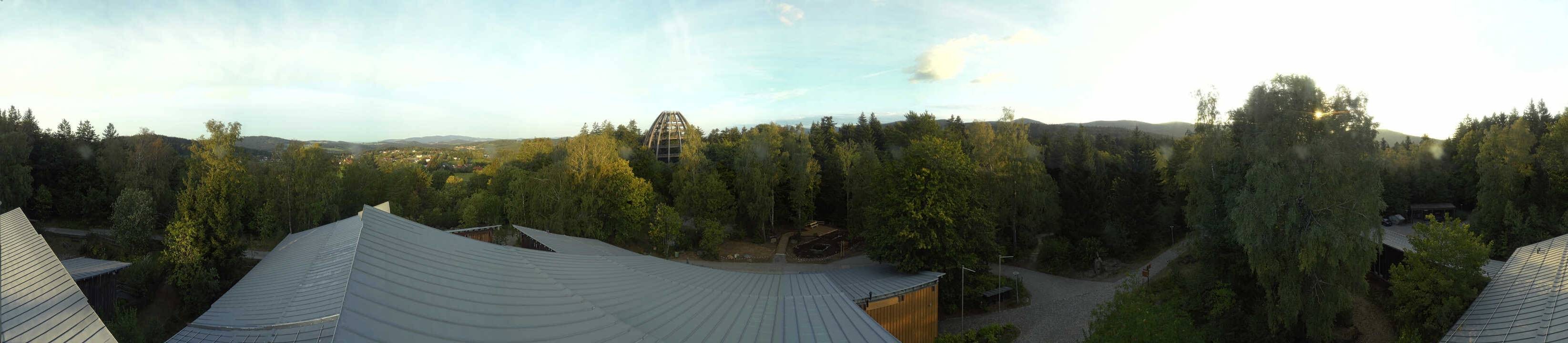 Archiv Foto Webcam Neuschönau - Baumwipfelpfad Bayerischer Wald