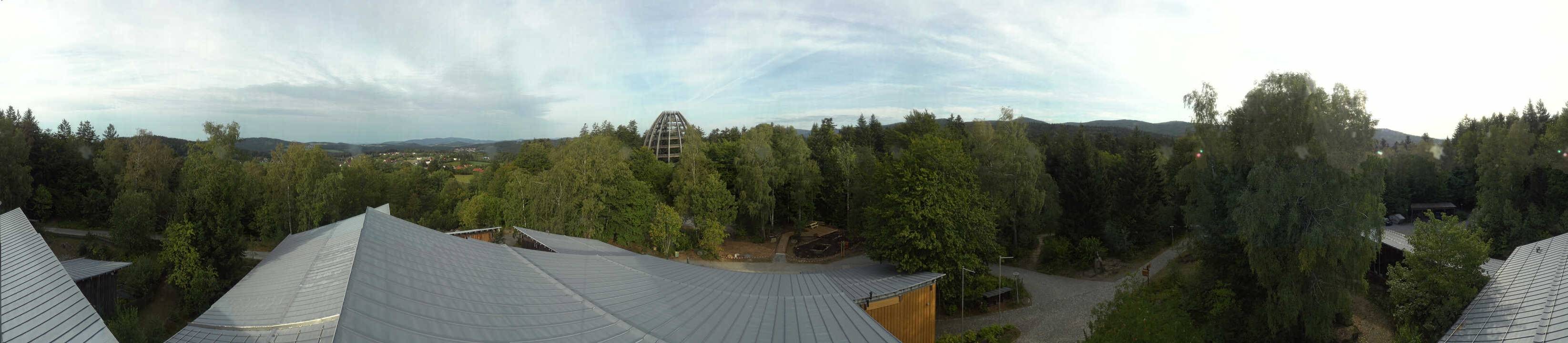 Archiv Foto Webcam Neuschönau - Baumwipfelpfad Bayerischer Wald