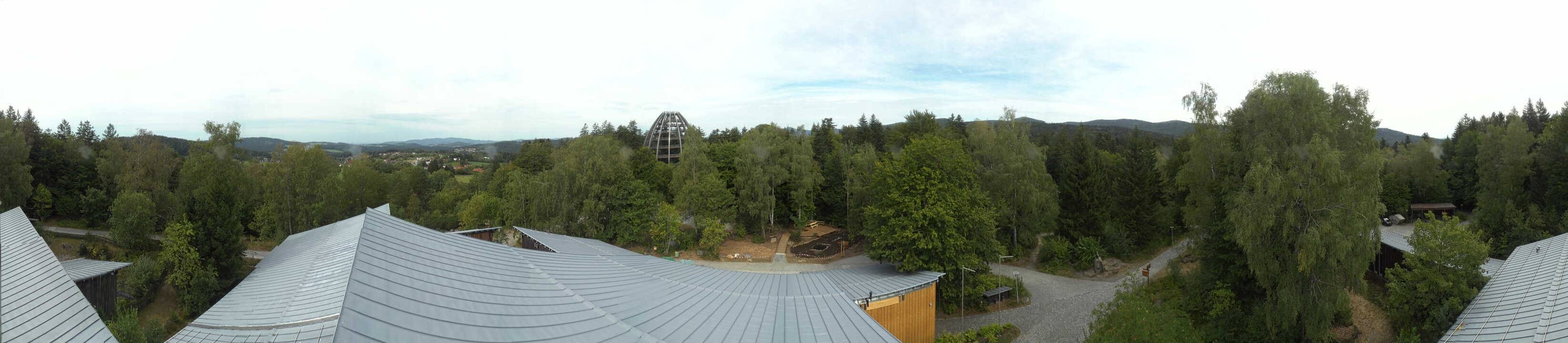 Archiv Foto Webcam Neuschönau - Baumwipfelpfad Bayerischer Wald