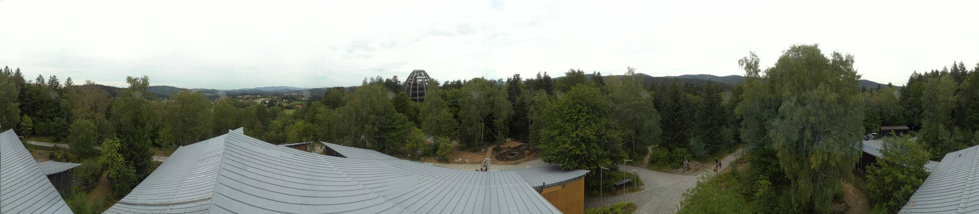 Archiv Foto Webcam Neuschönau - Baumwipfelpfad Bayerischer Wald