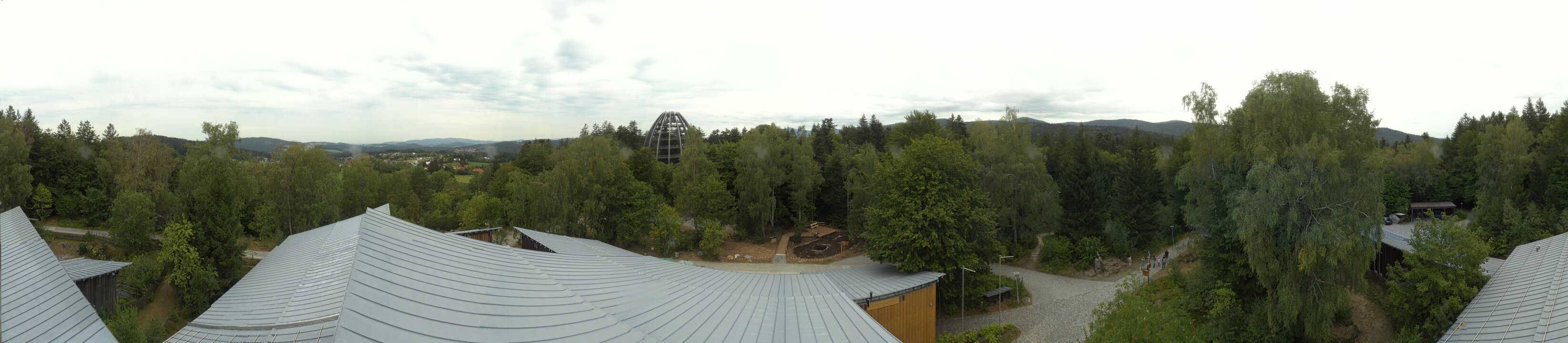 Archiv Foto Webcam Neuschönau - Baumwipfelpfad Bayerischer Wald