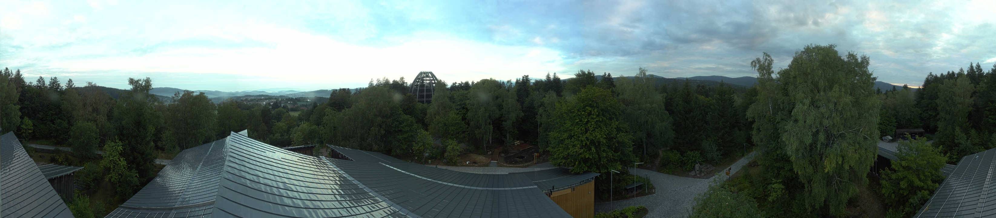 Archiv Foto Webcam Neuschönau - Baumwipfelpfad Bayerischer Wald