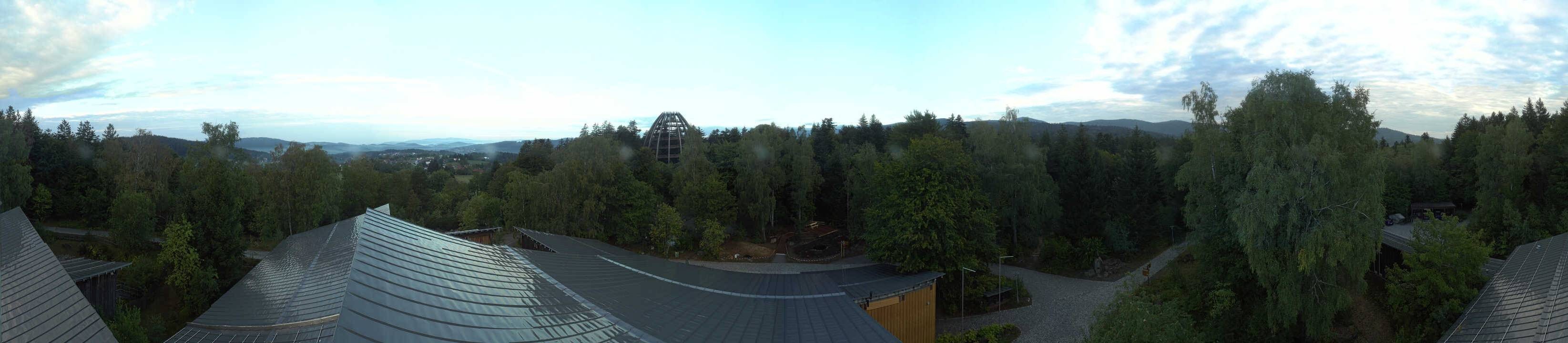 Archiv Foto Webcam Neuschönau - Baumwipfelpfad Bayerischer Wald
