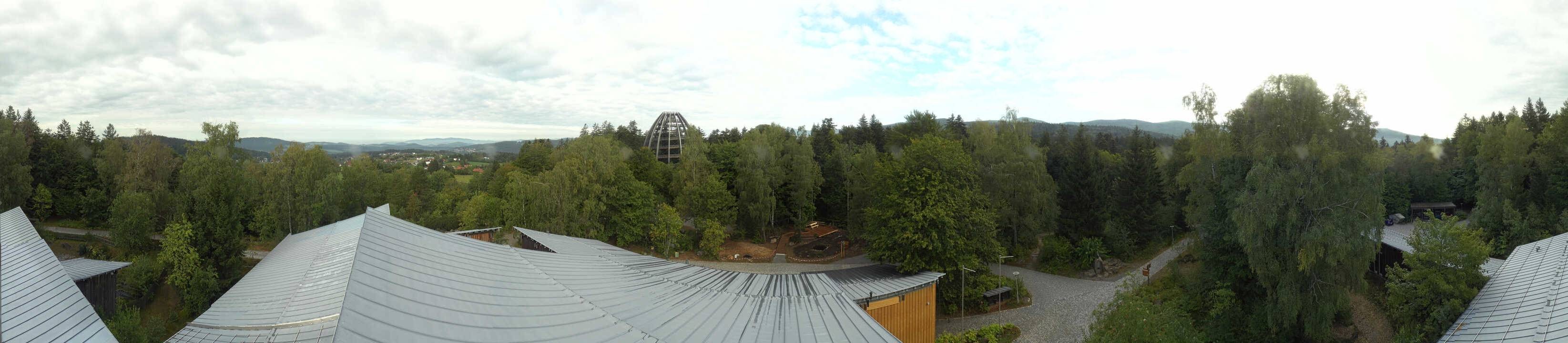 Archiv Foto Webcam Neuschönau - Baumwipfelpfad Bayerischer Wald