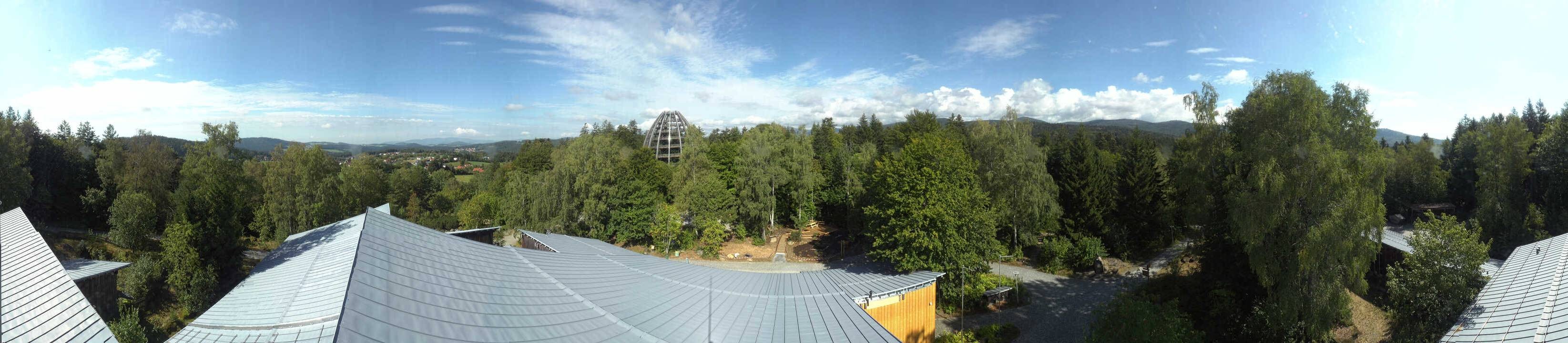 Archiv Foto Webcam Neuschönau - Baumwipfelpfad Bayerischer Wald
