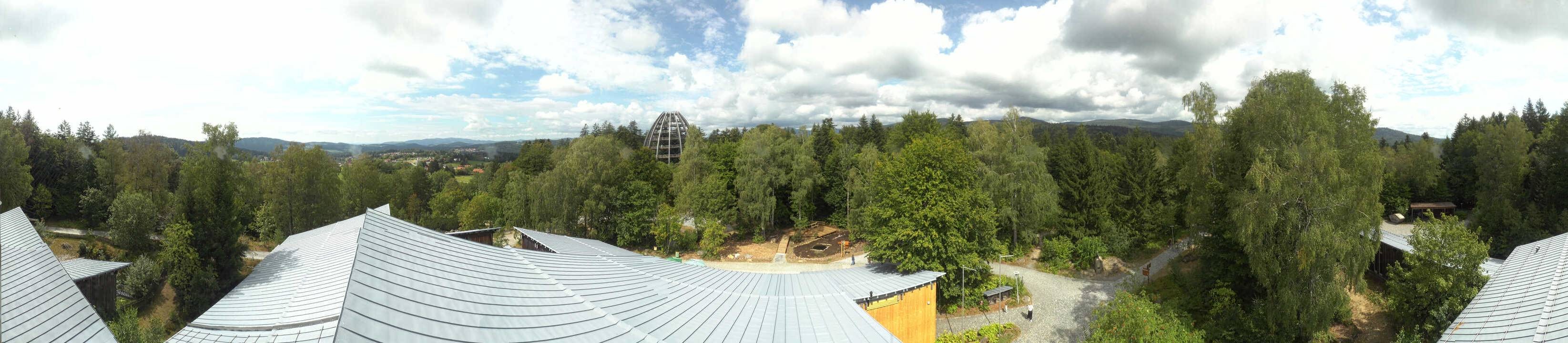 Archiv Foto Webcam Neuschönau - Baumwipfelpfad Bayerischer Wald