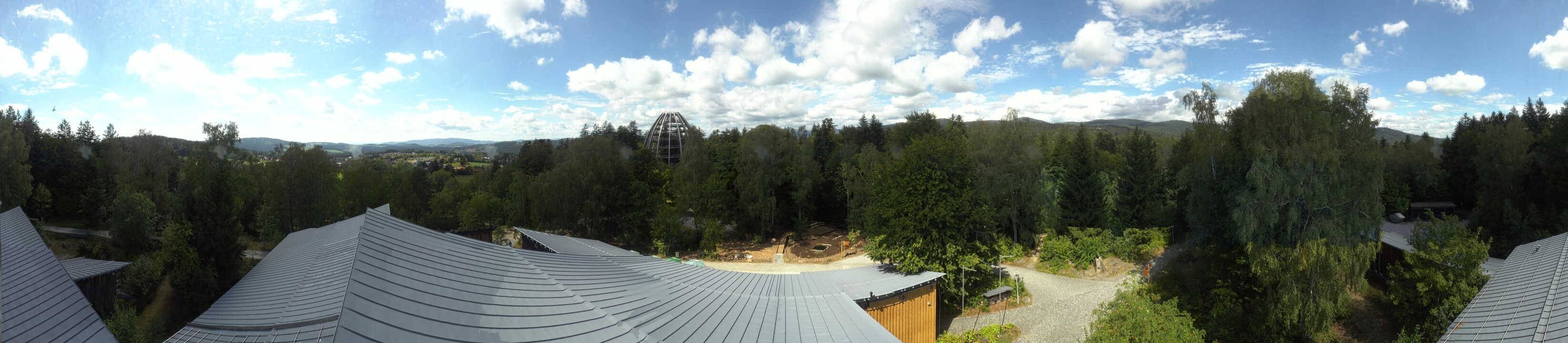 Archiv Foto Webcam Neuschönau - Baumwipfelpfad Bayerischer Wald