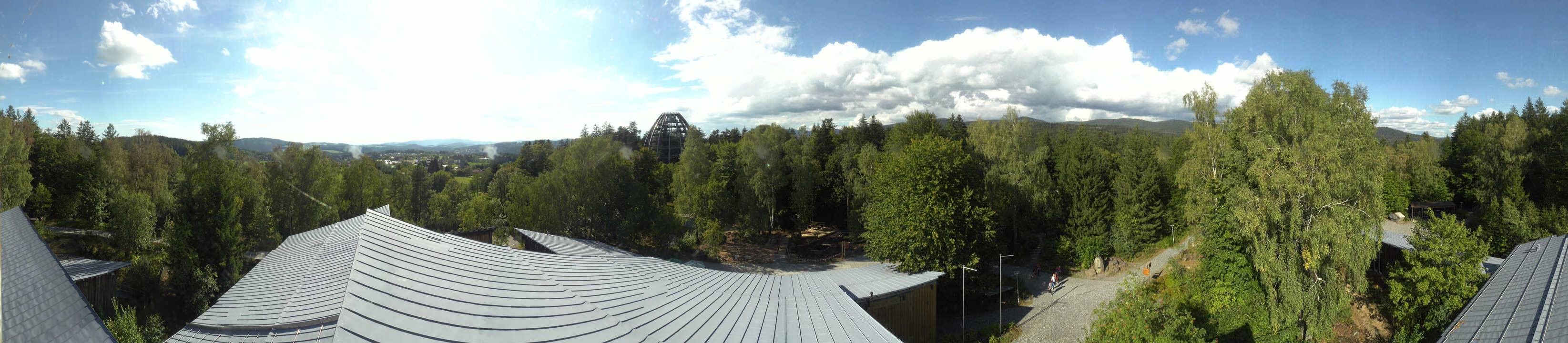 Archiv Foto Webcam Neuschönau - Baumwipfelpfad Bayerischer Wald