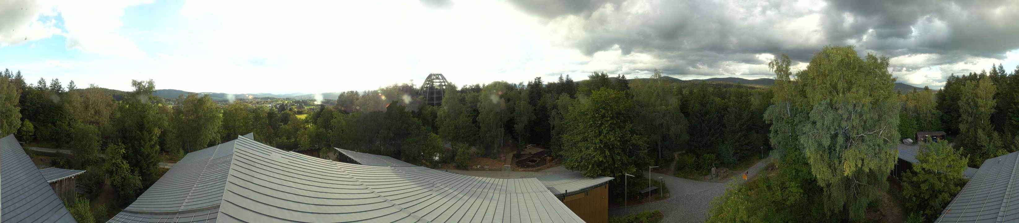 Archiv Foto Webcam Neuschönau - Baumwipfelpfad Bayerischer Wald