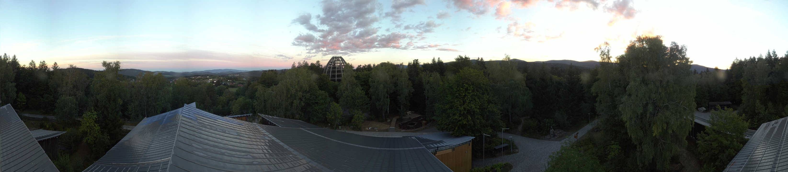 Archiv Foto Webcam Neuschönau - Baumwipfelpfad Bayerischer Wald
