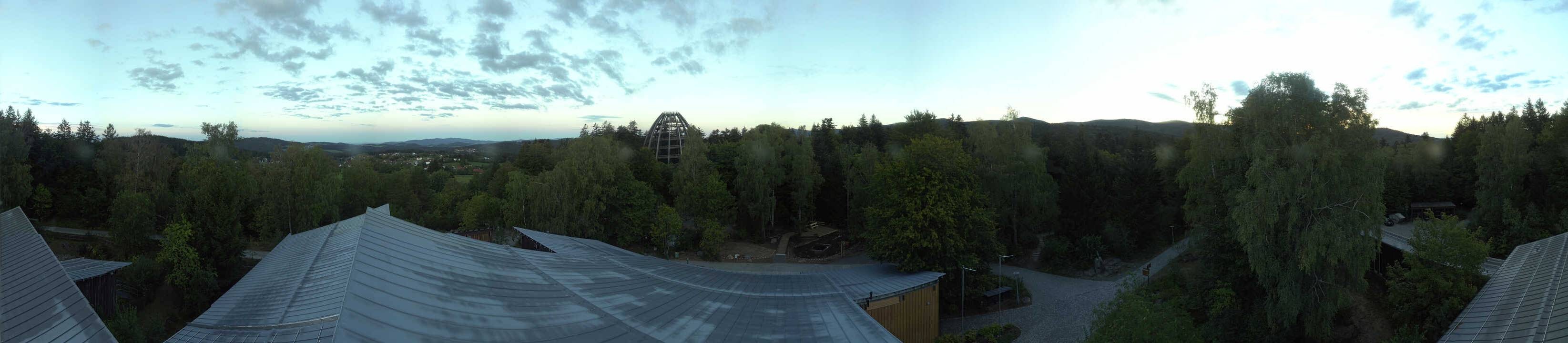 Archiv Foto Webcam Neuschönau - Baumwipfelpfad Bayerischer Wald