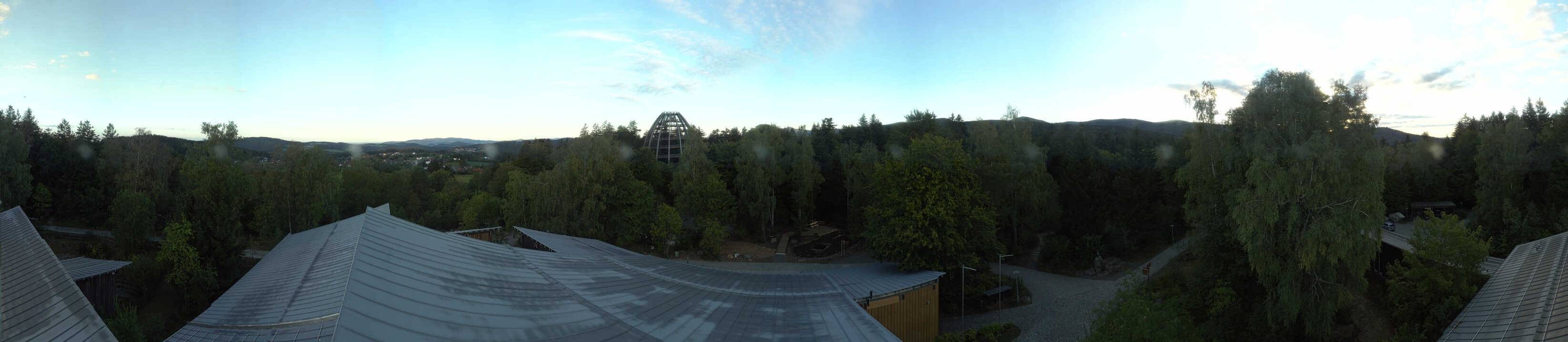 Archiv Foto Webcam Neuschönau - Baumwipfelpfad Bayerischer Wald