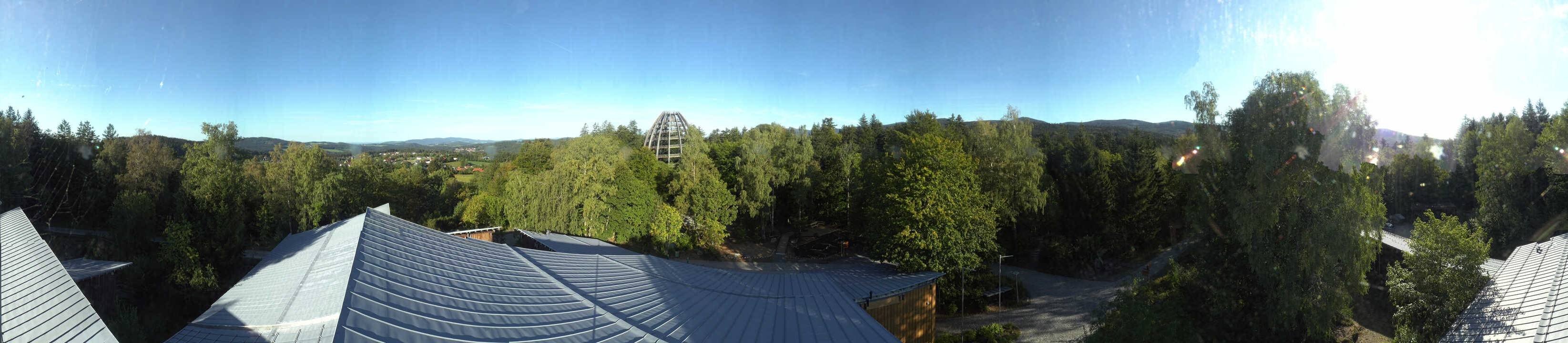 Archiv Foto Webcam Neuschönau - Baumwipfelpfad Bayerischer Wald