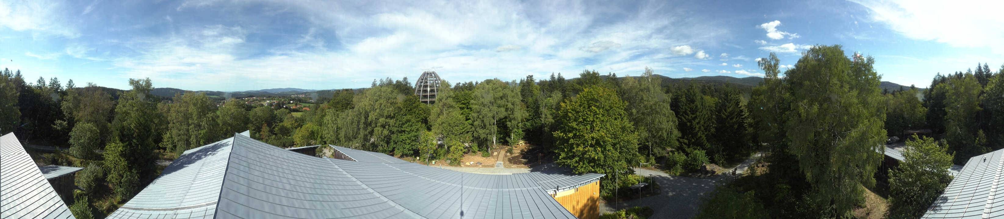 Archiv Foto Webcam Neuschönau - Baumwipfelpfad Bayerischer Wald
