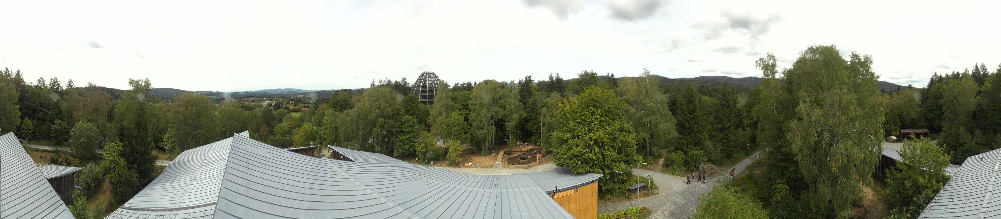 Archiv Foto Webcam Neuschönau - Baumwipfelpfad Bayerischer Wald