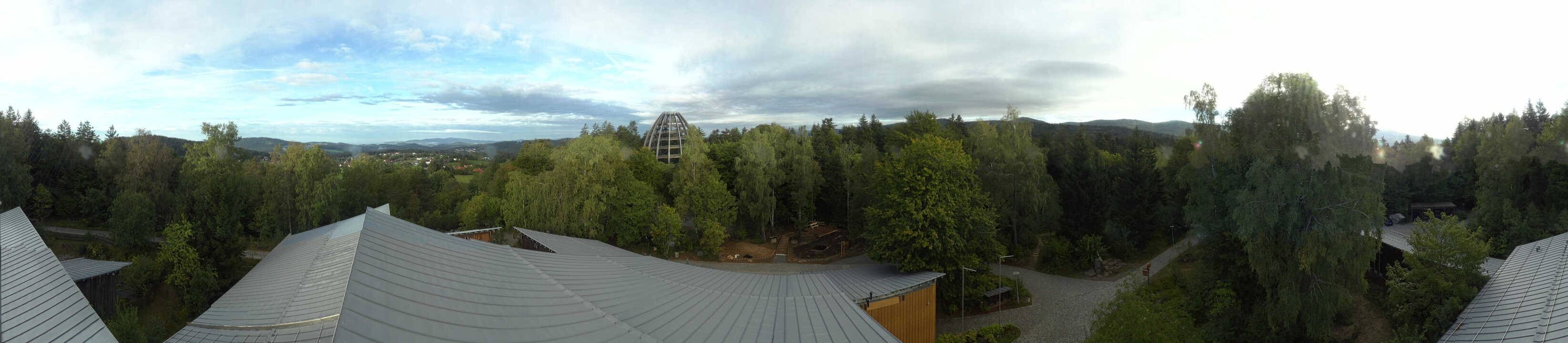 Archiv Foto Webcam Neuschönau - Baumwipfelpfad Bayerischer Wald