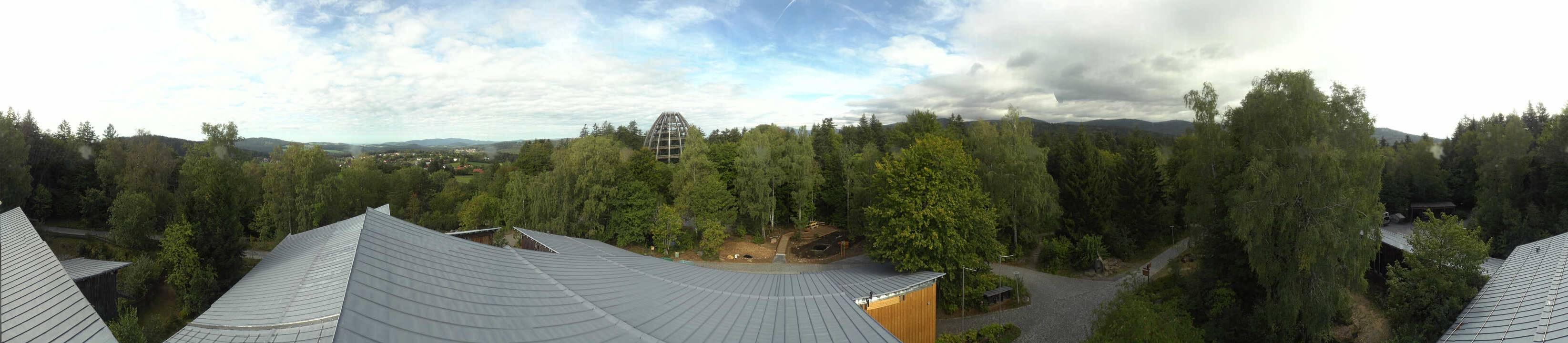 Archiv Foto Webcam Neuschönau - Baumwipfelpfad Bayerischer Wald