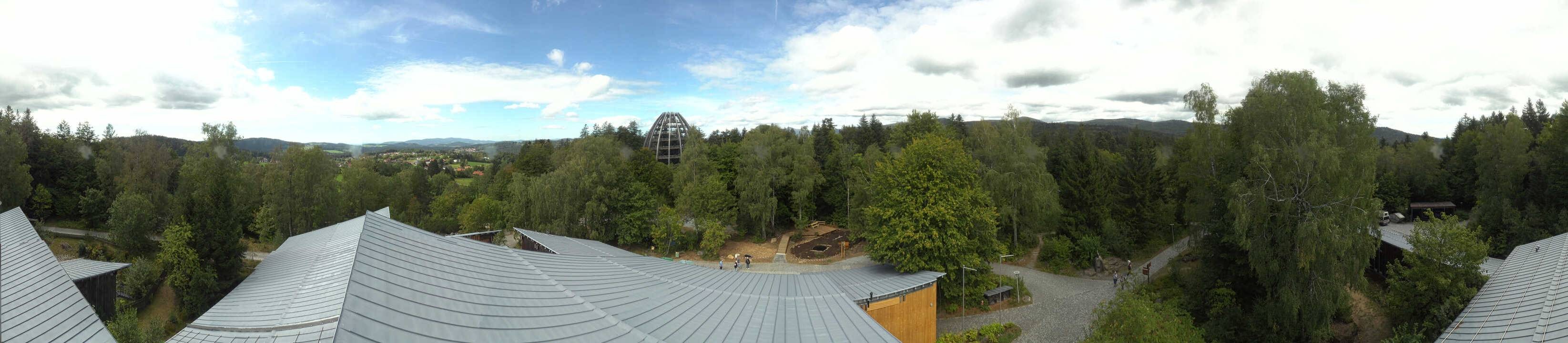 Archiv Foto Webcam Neuschönau - Baumwipfelpfad Bayerischer Wald