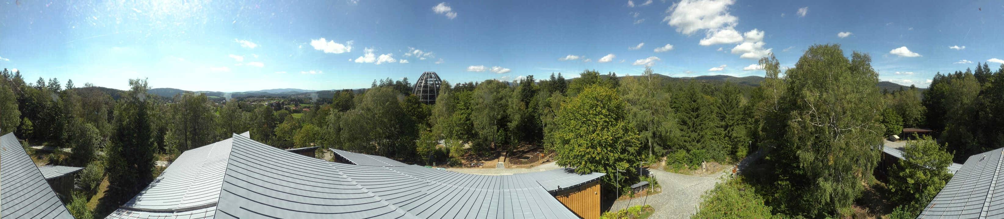 Archiv Foto Webcam Neuschönau - Baumwipfelpfad Bayerischer Wald