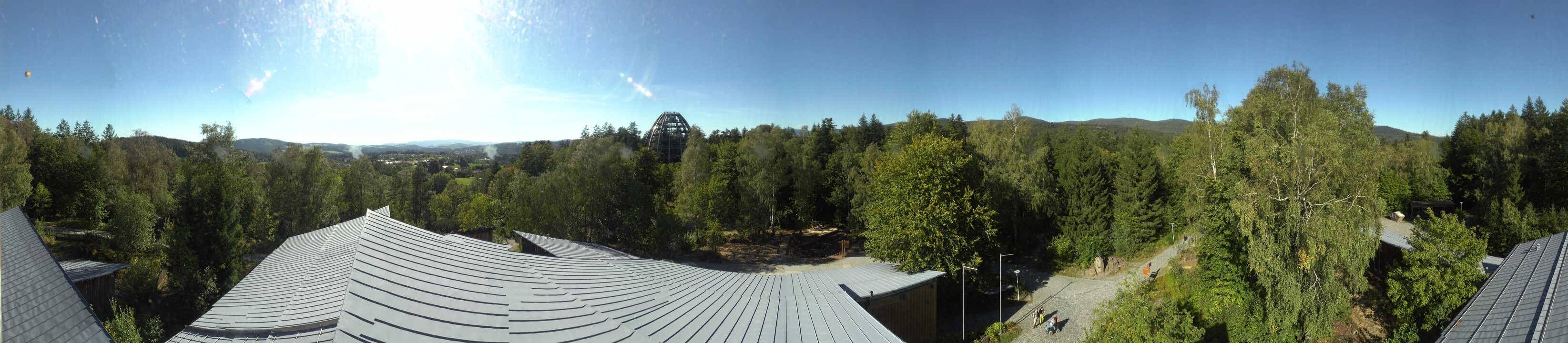Archiv Foto Webcam Neuschönau - Baumwipfelpfad Bayerischer Wald