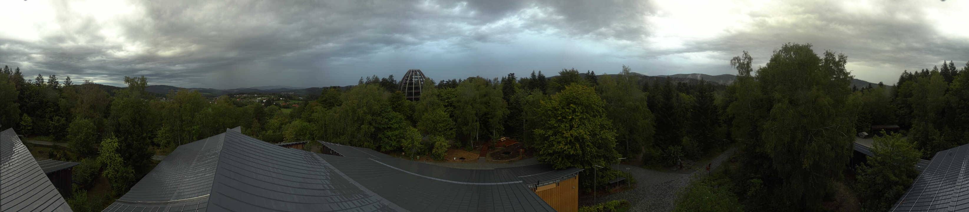 Archiv Foto Webcam Neuschönau - Baumwipfelpfad Bayerischer Wald
