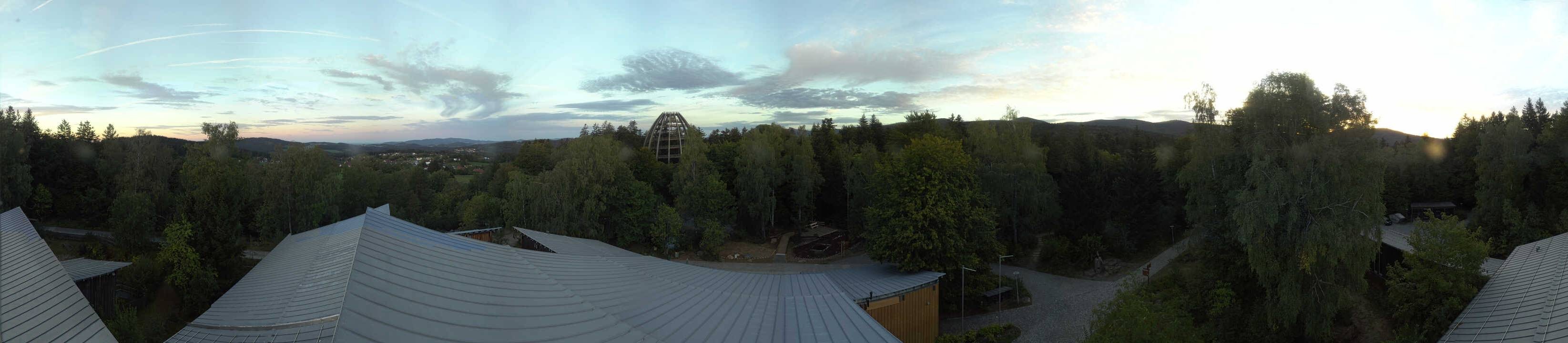 Archiv Foto Webcam Neuschönau - Baumwipfelpfad Bayerischer Wald