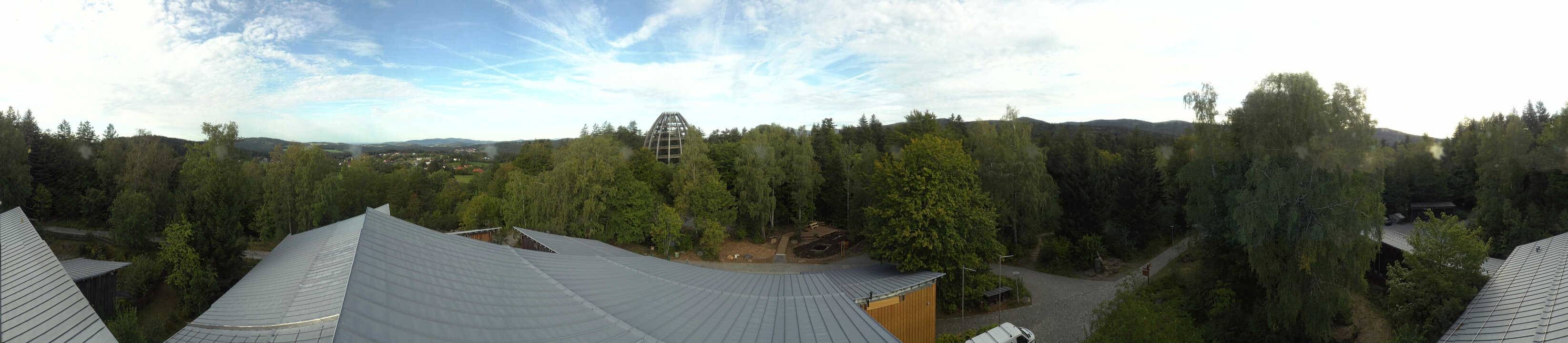 Archiv Foto Webcam Neuschönau - Baumwipfelpfad Bayerischer Wald
