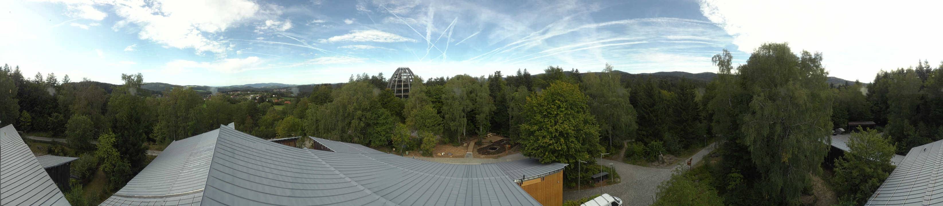 Archiv Foto Webcam Neuschönau - Baumwipfelpfad Bayerischer Wald