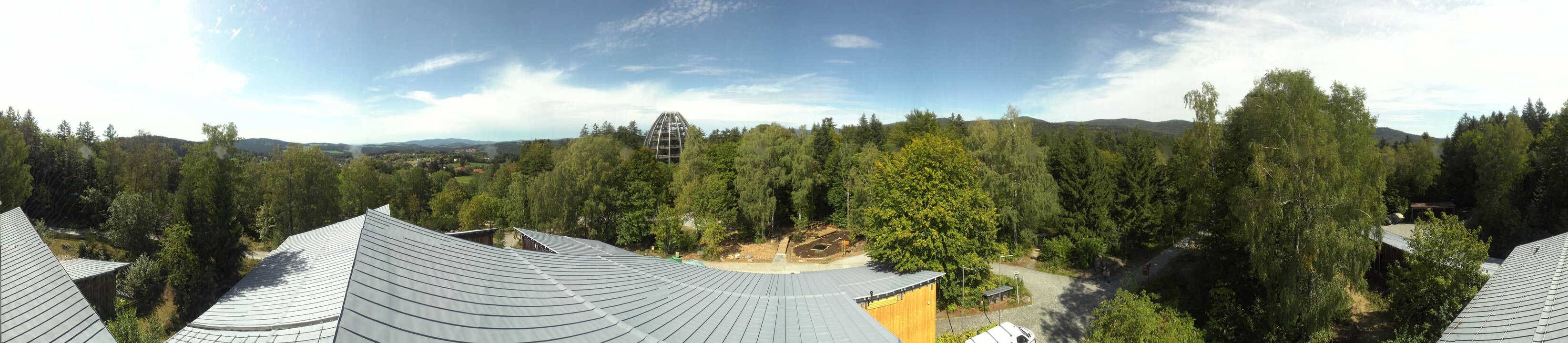 Archiv Foto Webcam Neuschönau - Baumwipfelpfad Bayerischer Wald