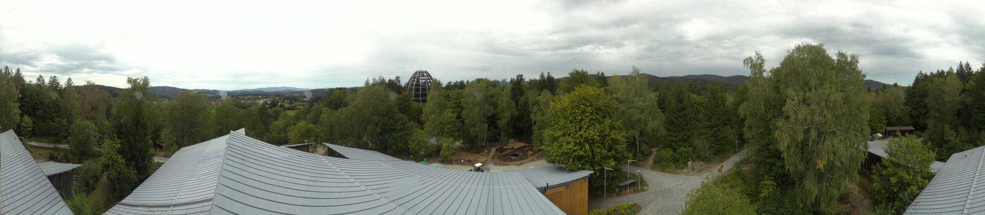 Archiv Foto Webcam Neuschönau - Baumwipfelpfad Bayerischer Wald