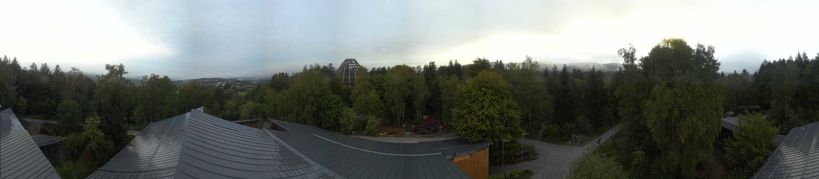 Archived image Webcam Neuschönau - Tree Top Walk Bavarian Forest