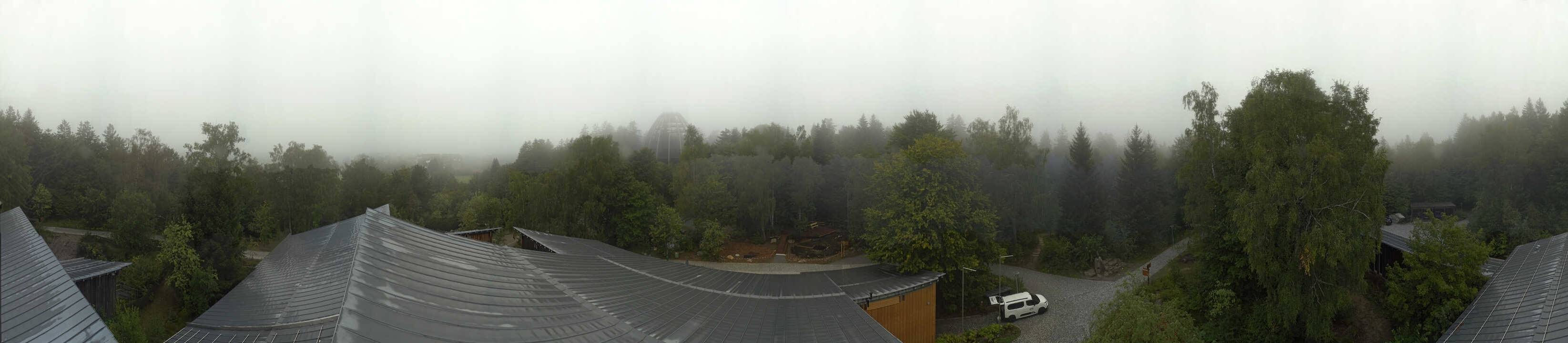 Archived image Webcam Neuschönau - Tree Top Walk Bavarian Forest
