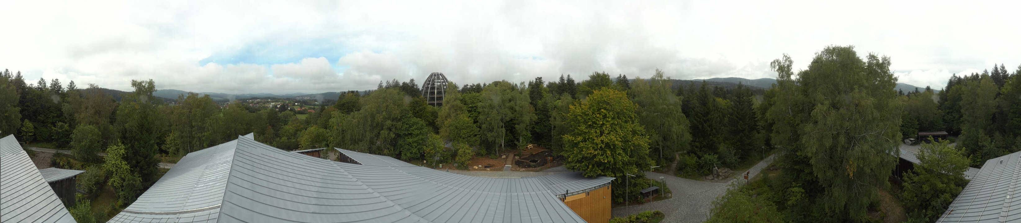 Archived image Webcam Neuschönau - Tree Top Walk Bavarian Forest