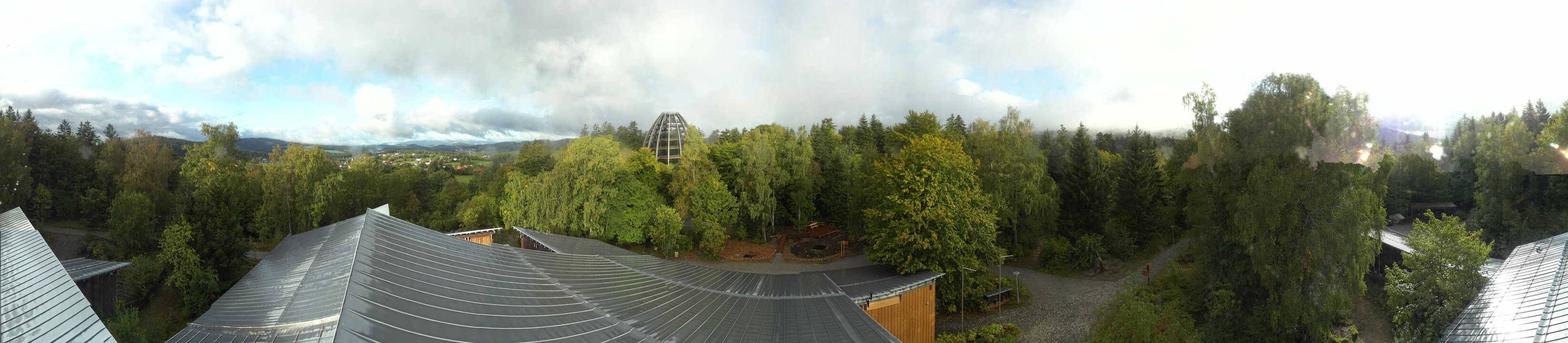 Archiv Foto Webcam Neuschönau - Baumwipfelpfad Bayerischer Wald