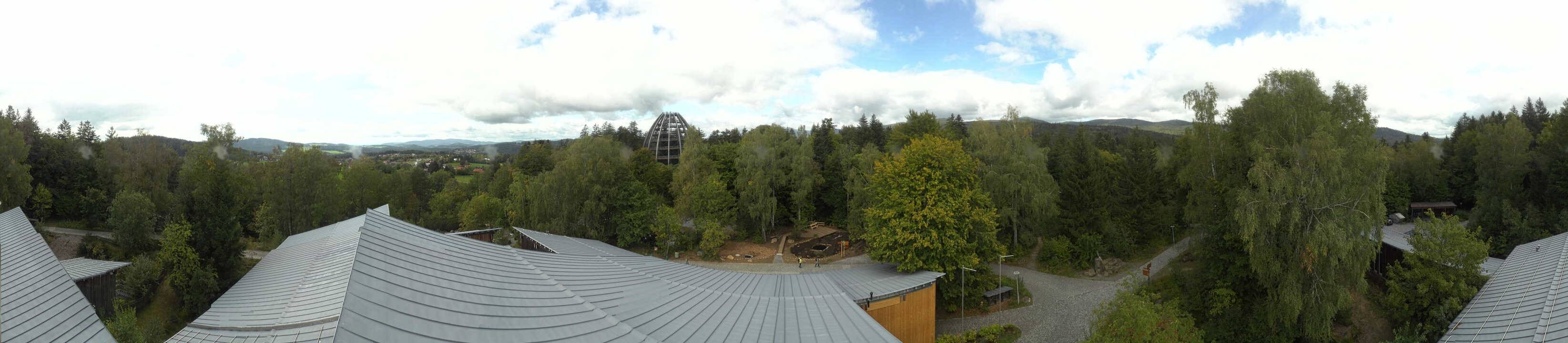 Archiv Foto Webcam Neuschönau - Baumwipfelpfad Bayerischer Wald