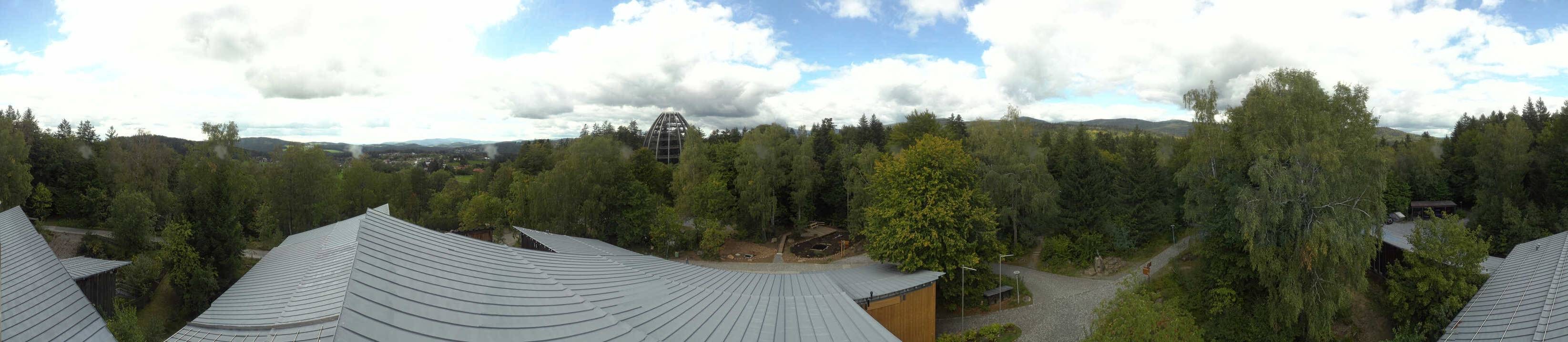Archiv Foto Webcam Neuschönau - Baumwipfelpfad Bayerischer Wald